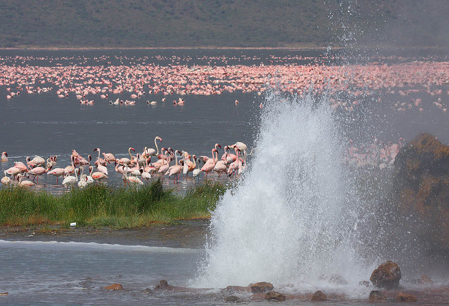 lake baringo national park