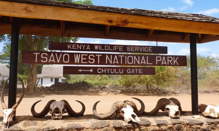 tsavo west national park 1 3