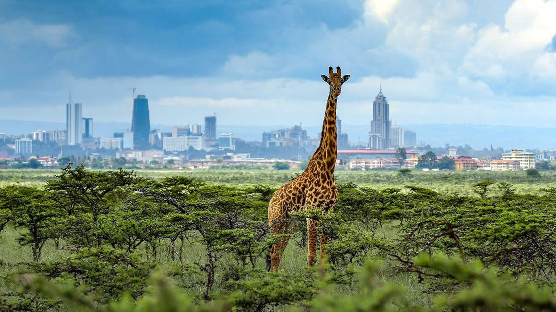 nairobinationalparks