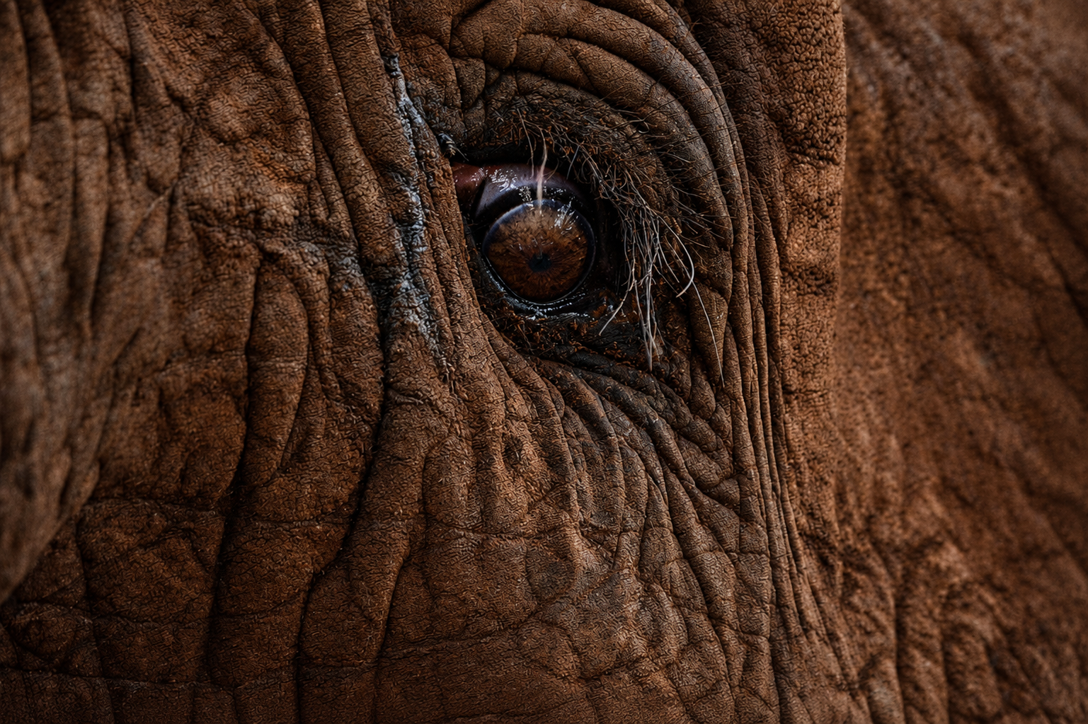 Kenya Safari by Road – Adventure Awaits! chatgpt image may 30, 2026, 09 44 57 am