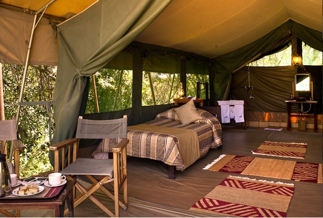 exotic african safari tent 1000x1000